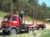 T 815