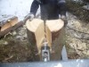 Štiepačka traktorova