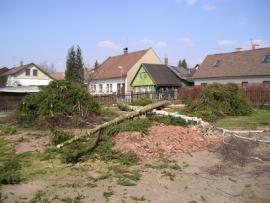 Sháním práci pro partu lesníků v okrese Semily nebo Jičín
