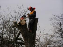 Lesní a zahradní práce výkup lesních pozemků