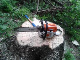 Pilcik-stihl
