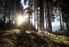 Pilcik-stihl