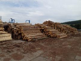 Prodám nebo pronajmu areál dřevovýroby 10 000 m2