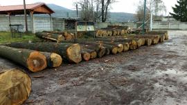 Predaj DUBOVEJ guľatiny.