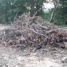 Služby vyvážacou súpravou, výzoz biomasy