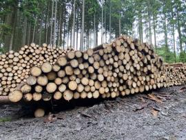 Smrková kulatina 4m