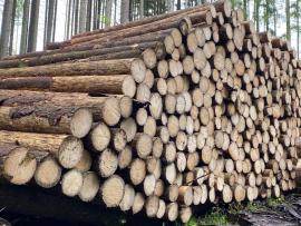 Smrková kulatina 4m