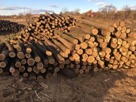 Predám agátové stlpy-koly, žrde, ohradníky. Doprava celá SR 19,- Eur.
