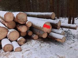 ČERSTVÁ smrková kulatina B/C, délka 10-12m