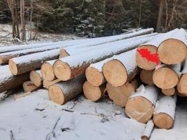 ČERSTVÁ smrková kulatina B/C, délka 10-12m
