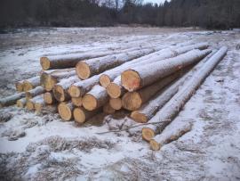 JEDLE kulatina délky 10-12m, 30+cm