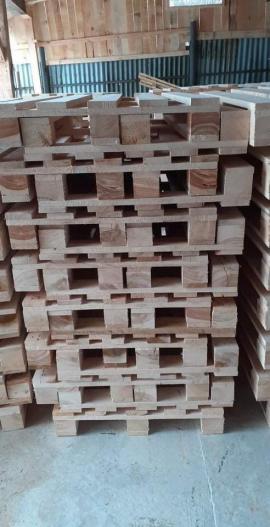 Paleta 120x80