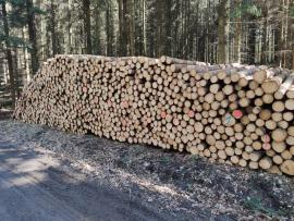 Smrk 2,5m 2000m3 IHNED K ODBĚRU