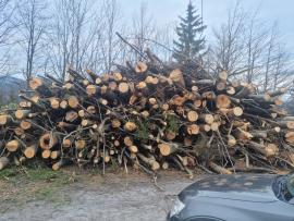 Drevná hmota na štiepku