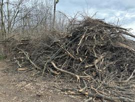 Štiepka - biomasa z tvrdých listnáčov