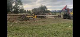Služby v lesníctve