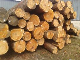 Smrekovec