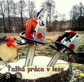 Práca v lese