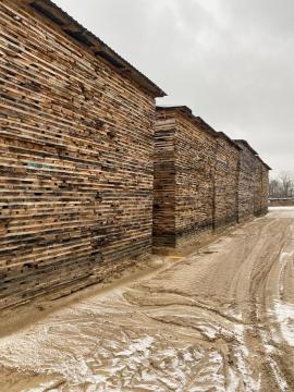 Dubove rezivo