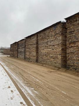 Dubove rezivo