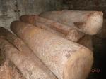 Oak - Logs