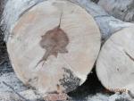 Construction / building lumber