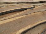 Elm - Lumber