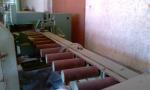 Multi rip saw Cerpic | Sawmill machinery | Woodworking machinery | Optimall