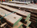 Oak &nbsp; |  Hardwood | Lumber | Adam