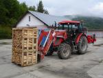 Firewood Beech | Firewood, briquettes | Obecné lesy Veľký Folkmar, s.r.o.