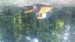 Forwarder VOLVO 868  |  Forest machinery | Woodworking machinery | Adam