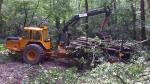 Forwarder - Woodworking machinery