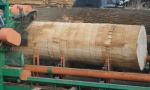 Other equipment Odkornovačka H-33 | Sawmill machinery | Woodworking machinery | Drekos Made s.r.o