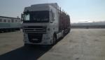 Log semi-trailer - Transport & freight