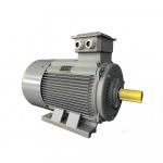 Other equipment Elektromotor, frekvenčný menič |  Machinery and tools maintance | Woodworking machinery | MTM Electric Motors s.r.o.