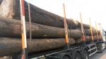 Saw logs