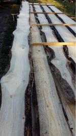 Construction / building lumber