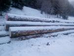 Saw logs