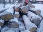 Spruce Saw logs | Softwood | Logs | Peter Haladej