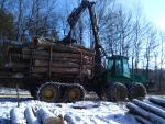Oak - Logs