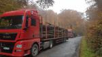 Log truck - Transport & freight