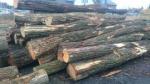 Saw logs