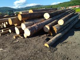 Spruce Saw logs | Softwood | Logs | Peter Haladej