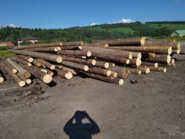 Spruce Saw logs | Softwood | Logs | Peter Haladej