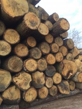 Veneer logs