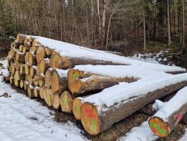 Saw logs