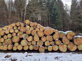 Fir Saw logs | Softwood | Logs | ALBA Forrest s.r.o.