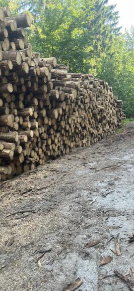 Saw logs