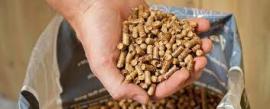 Pellets Spruce | Firewood, briquettes | SCOPULUS Handels-und Dienstleistungs GmbH