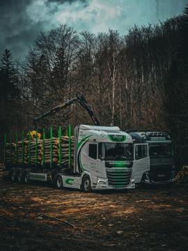 Log semi-trailer - Transport & freight